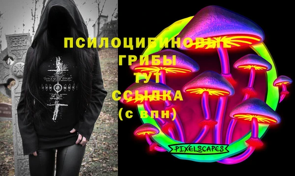 прущий лед Алзамай