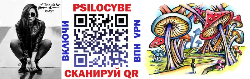 купить наркотик  Комсомольск  Галлюциногенные грибы Psilocybe 